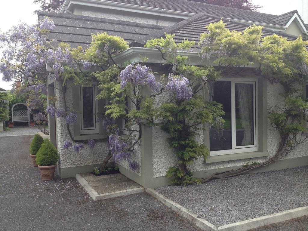Sea Dew B&B Tullamore Zewnętrze zdjęcie